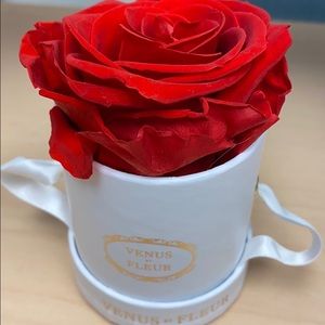 Meet your Posher, Raquel